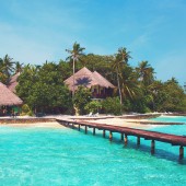 Dipiscing elit Mau ant