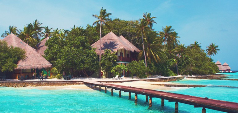 Dipiscing elit Mau ant